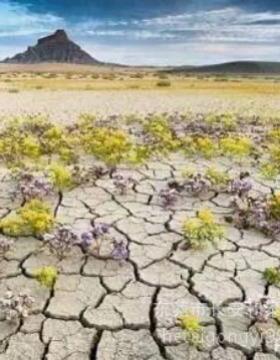 环保裂HFL漆白色纹自然裂快干形性漆喷漆油用纹裂纹漆墙面裂纹漆