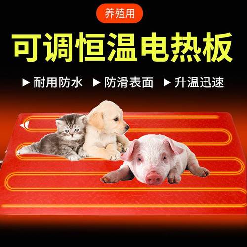 仔猪电热兽用小猪用电热不板养殖宠板物UFK保纤温板锈钢碳维狗猫
