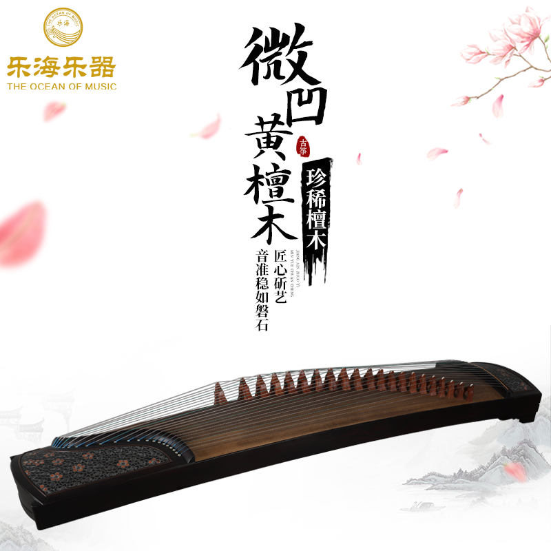 乐海古筝初学者入门儿童成人微凹黄檀木实木古筝十级考级专业演奏