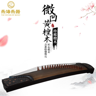 乐海古筝初学者入门儿童成人微凹黄檀木实木古筝十级考级专业演奏