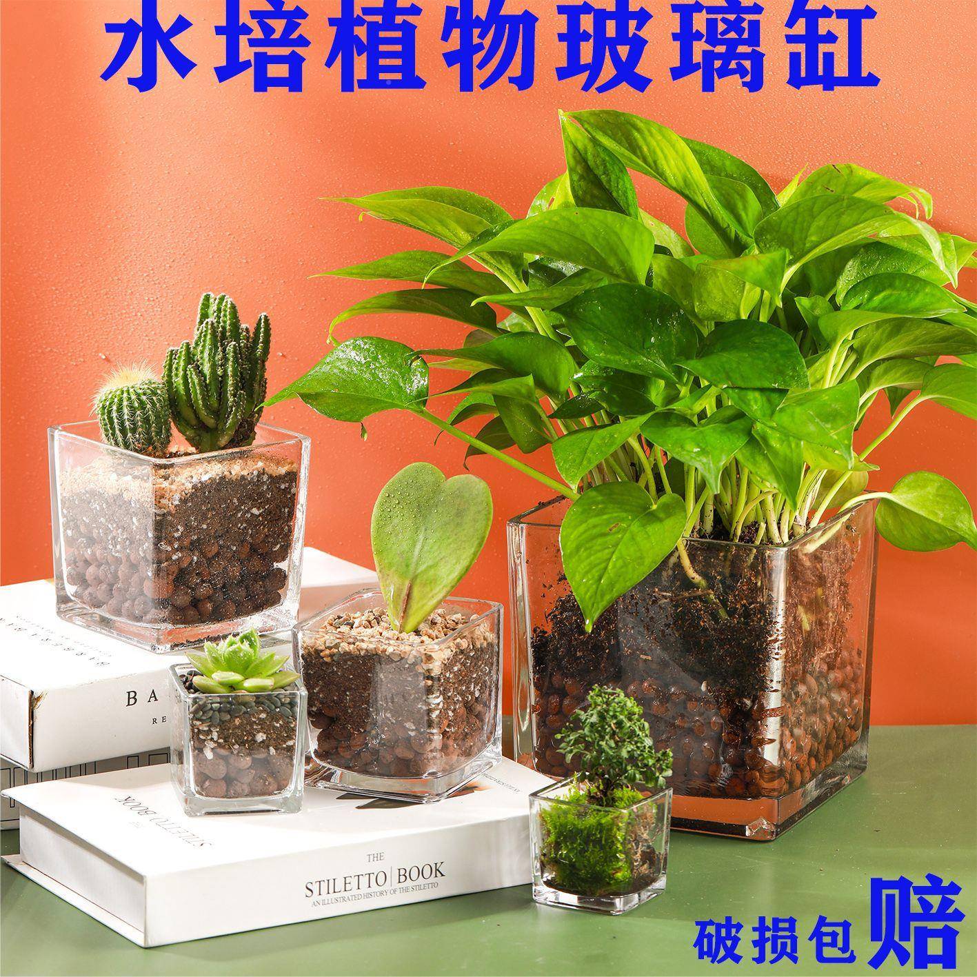 简养约水培花盆正方形玻璃缸花瓶透明水绿萝植物器皿乌龟摆厂家直