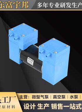 120流型空微泵直双头SME泵包真装机医疗设备双头活塞泵