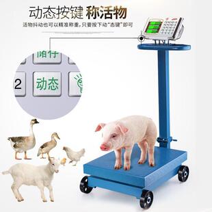 红鹰电子称轮台大秤150kg折叠671带子秤600公磅斤地磅商用快递货