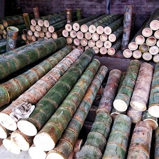 巨龙竹竹料/大竹子竹筒料