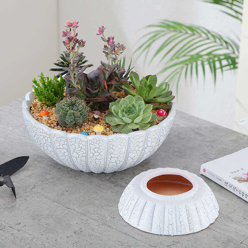 欧式创意室内多肉陶瓷花盆花盆绿陶瓷拼盘大园林肉号孔有工艺多萝
