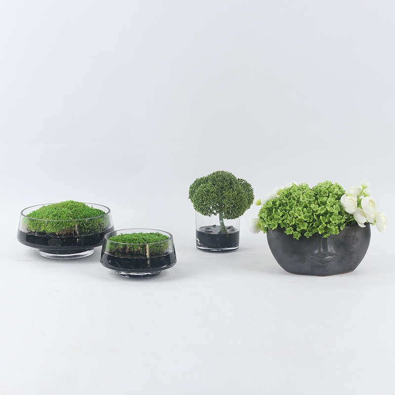 新中式圆形透明玻璃整体苔藓摆件洽谈景茶几饰品桌台花艺端鹅卵石