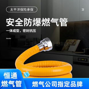 恒通家用管不锈钢波纹软管防爆高液化管燃气管燃气金属