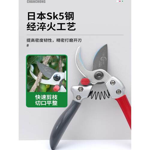 蟾虫树枝剪刀修枝剪枝剪剪果树修枝剪园艺修花剪园林盆景专用剪刀