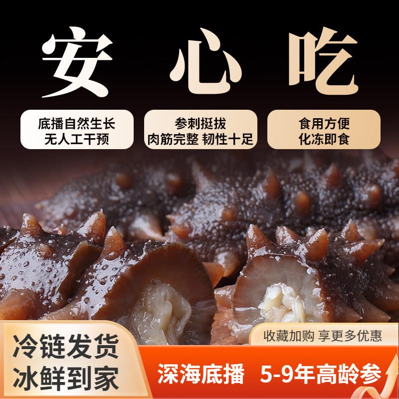 大连即食海参野生海参辽刺参老人孕妇滋补鲜食鲜活非淡干开袋即食