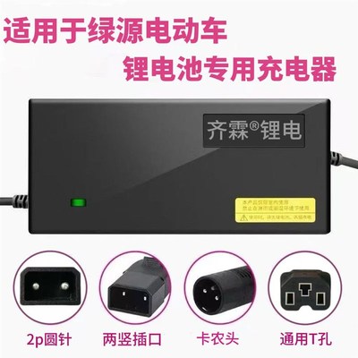 适用绿源锂电池电动车充电器48V2A3A5A智能快充星恒电池2P插口