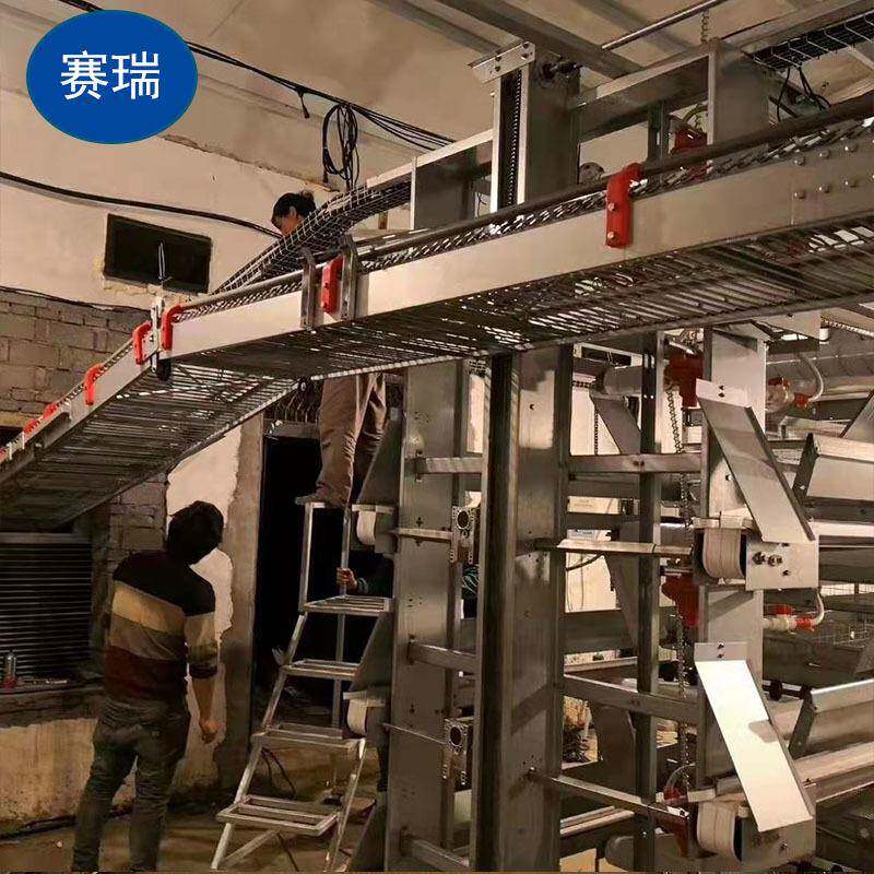 层体叠蛋笼全自动养鸡设FNS备集蛋上料一鸡厂鸡鸡舍养殖用鸡笼