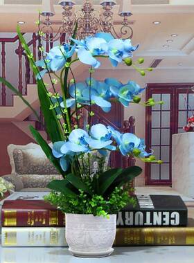 子兰盆栽仿真花君WIM蝴兰仿真花塑料花餐桌电视柜公蝶室摆放办装