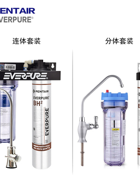 爱惠浦净水器BH2家用直饮机过滤器北方专用去除水垢EV9612-50滤芯