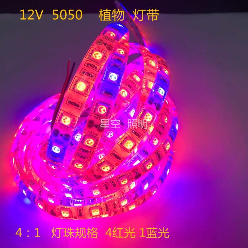 12V植物补光LED灯条12V5050植物生长LED灯带鱼缸蔬菜肉类花卉灯条