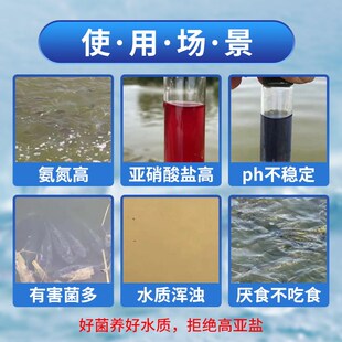 硝化细菌水产养殖鱼塘虾蟹降氨氮亚硝酸盐净化水质调节鱼池净水剂