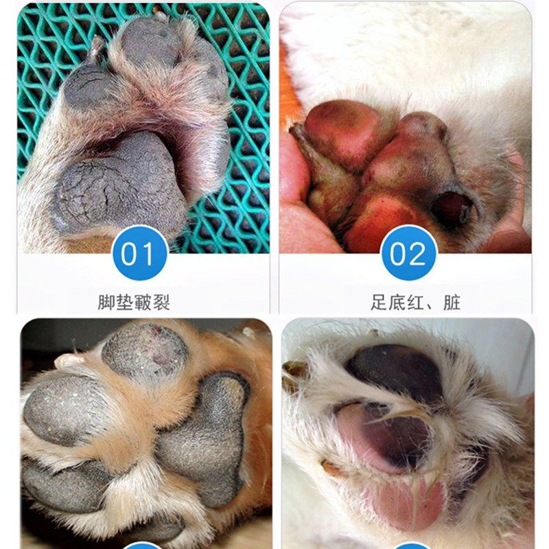 吉来德狗狗护爪膏宠物猫咪足部护理脚掌干裂护爪霜脚垫保护滋润膏,宠物/宠物食品及用品,脚掌滋润/防滑/护理,淘宝优惠券,粉丝福利购,淘宝优惠卷