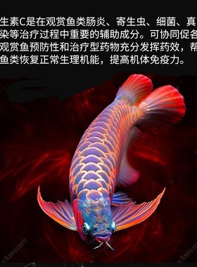 观赏鱼专用VC维生素c片浓缩抗应激鱼缸水族箱净水养鱼用龟免疫力