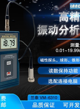 兰泰测振仪VM6310振动测量仪/机械故障检测仪测振表 震动测试仪
