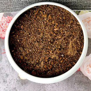 麒麟专用土盆栽酸性沙质泥炭透气土壤玉麒麟土绿植种植营养土肥料