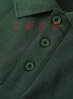 艾顿学院英伦风学生墨绿色校服 中小学夏季短袖透气舒适T恤polo衫
