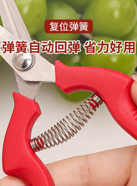 果蔬专用剪修剪葡萄枝花剪修小荔枝蔬果摘取剪刀关果子牌剪利树枝