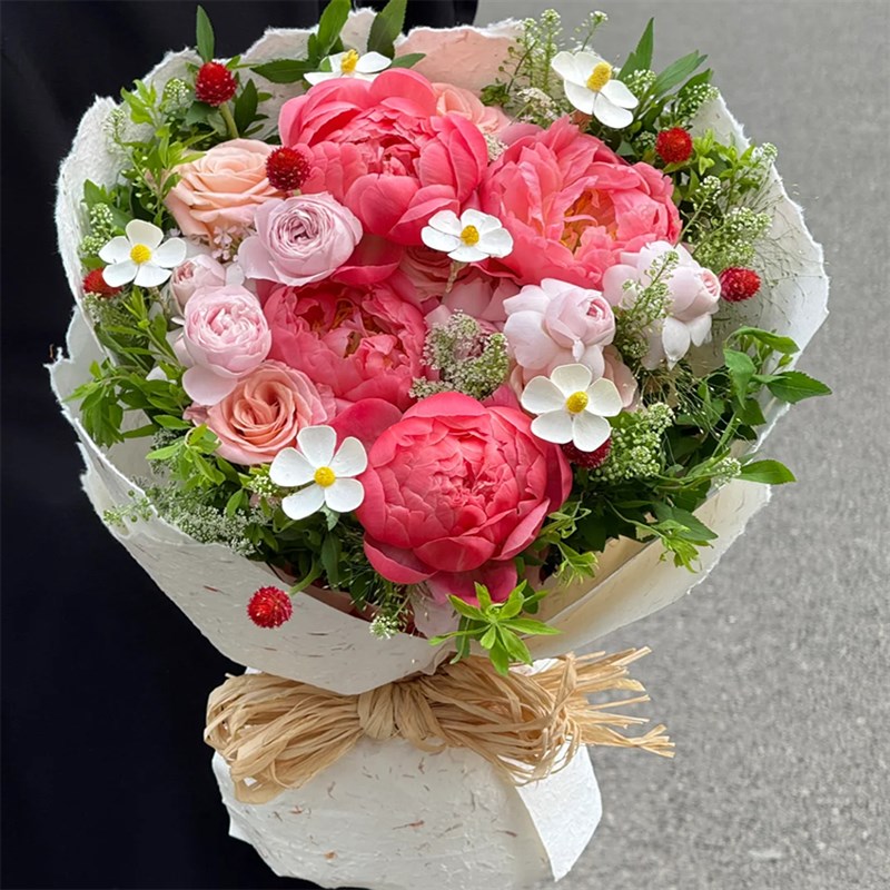 落日珊瑚芍药鲜花母亲节送妈妈送女友红芍药花束北京天津沙拉芍药