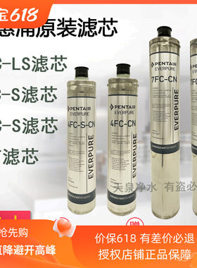 爱惠浦4FC 4FC-S 7FC 7FC-S 4FC-LS 4C 7FT净水器商家用替换滤芯