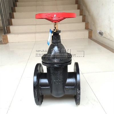 Z45T-16铸铁法兰闸阀Z45T-10暗80闸阀DN50闸阀65杆排污