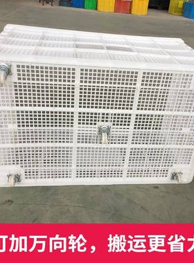 轮周转筐长方形塑料带JFC大框快递筐号特大店服装厂收纳筐酒布草