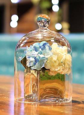 北欧玻璃罩件尘饰品HP051摆件防花咖罩啡馆客厅店铺卧室创摆意摆