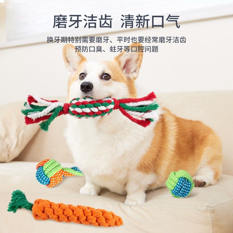 狗狗磨牙耐咬结绳棒玩具比熊柯基泰迪小型犬宠物用品幼犬解闷神器,宠物/宠物食品及用品,磨牙洁齿玩具/绳结玩具,淘宝优惠券,粉丝福利购,淘宝优惠卷