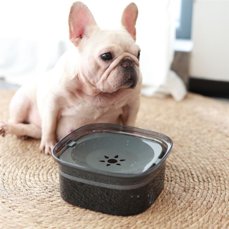 狗狗喝水碗不湿嘴猫水碗猫咪护颈狗浮力水盆宠物防打翻漂浮饮水器
