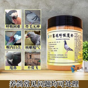 赛鸽呼吸道中药粉专用感染口腔黏液张口呼吸困难甩鼻带声信鸽子药