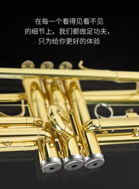 津宝小号乐器JBTR-300降B调初学者通用黄铜小号军乐队学校管乐队