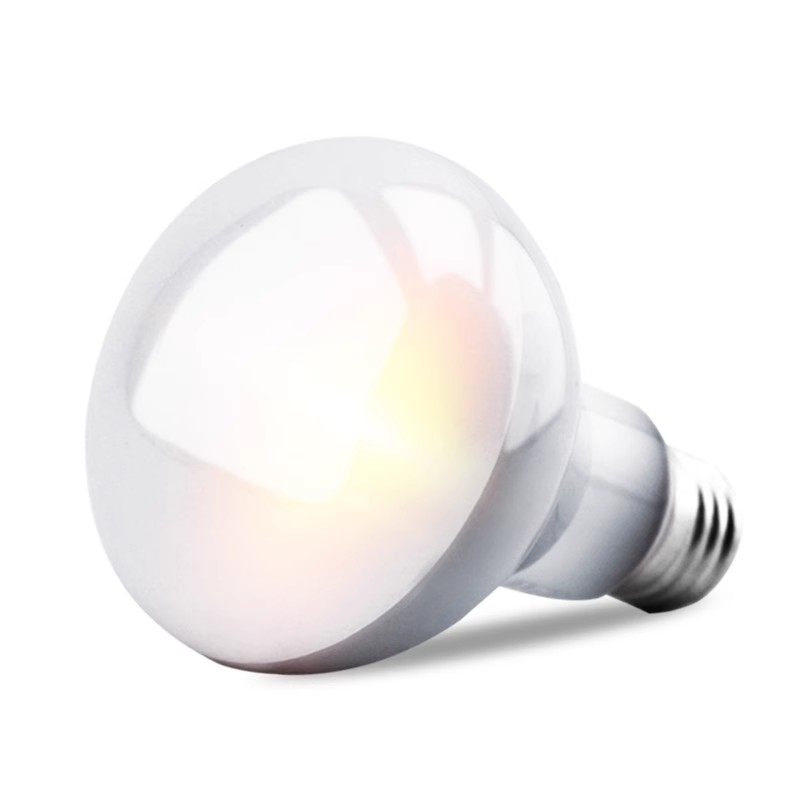 爬宠日灯夜灯陆龟UVA加热灯保温灯蜥蜴箱守宫变色龙月光灯陶瓷灯,宠物/宠物食品及用品,爬宠灯具,淘宝优惠券,粉丝福利购,淘宝优惠卷