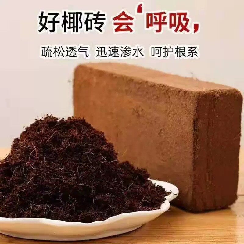 棷砖耶砖土壤脱盐无菌椰糠椰砖土大块椰子砖营养土种菜养花通用型