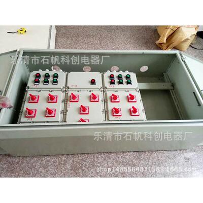 带护罩防爆箱 防爆灌装机控制箱 防爆电位箱 等位箱BF28159-SZF