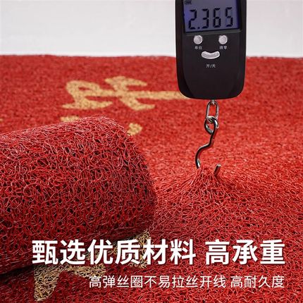 入户门地垫2025新款红色丝圈门垫新年进门脚垫玄关乔迁喜庆地毯