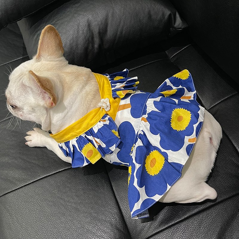 夏季薄款法斗巴哥斗牛犬比熊博美衣服可爱搞笑公主裙网红吊带裙子