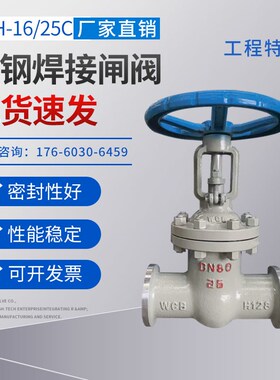 铸钢焊接闸阀Z61H/Y-16/25/100C碳钢高温高压锅炉阀门N80 200 250