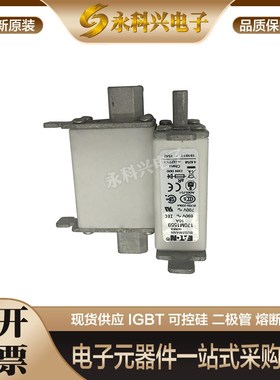 快速熔断器保险丝170M1558 1559 1560 1561 1562 1563 1564 1565