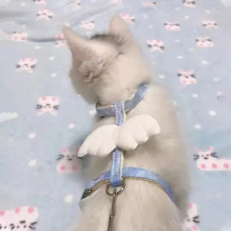 猫咪牵引绳外出防挣脱可爱翅膀调节宠物小型专用链子狗狗背带绳子