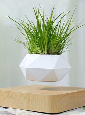 磁悬浮花盆简约创意客厅招财摆件栽家居diy多肉植物科技礼物漂浮