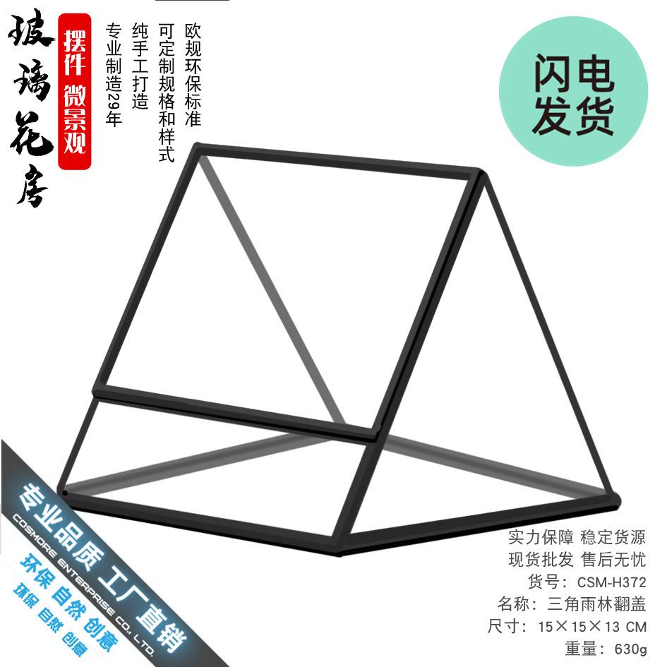 态瓶生雨缸林苔花藓微景观造景玻璃582房子