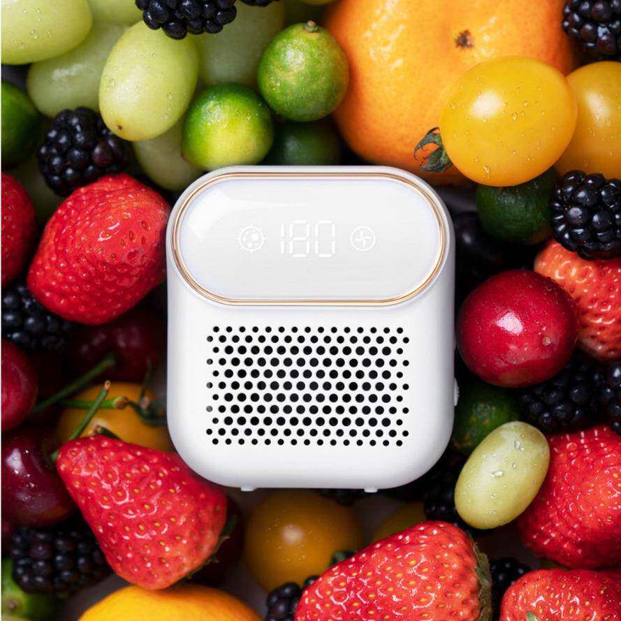 电子除味空气净化器冰箱衣柜鞋柜臭氧保鲜净化器 量大从优