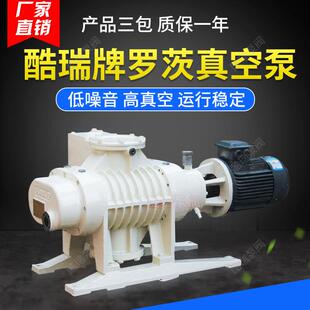 上海带溢流阀罗茨真空泵ZJP脱气干燥真空泵ZJ罗茨真空泵