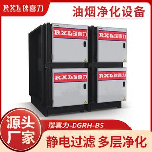 厂家供应DGRH-BS型低空过滤油烟净化器厨房酒店餐饮业净化设备
