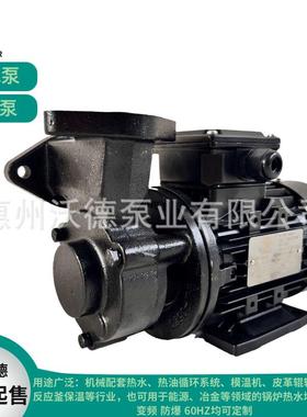 WUODOR高温导热油泵WM-05-200℃卧式漩涡管道增压泵模温机配套
