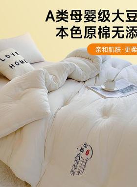 A类大豆纤维被子学被芯冬YH230202被人单生宿舍春秋棉被空被褥202