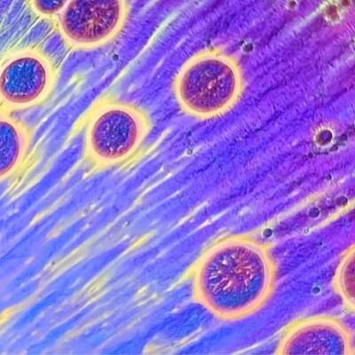 建HCU阳水建盏陶瓷吉王静财神钵品茗主人杯引款热卖流款爆款